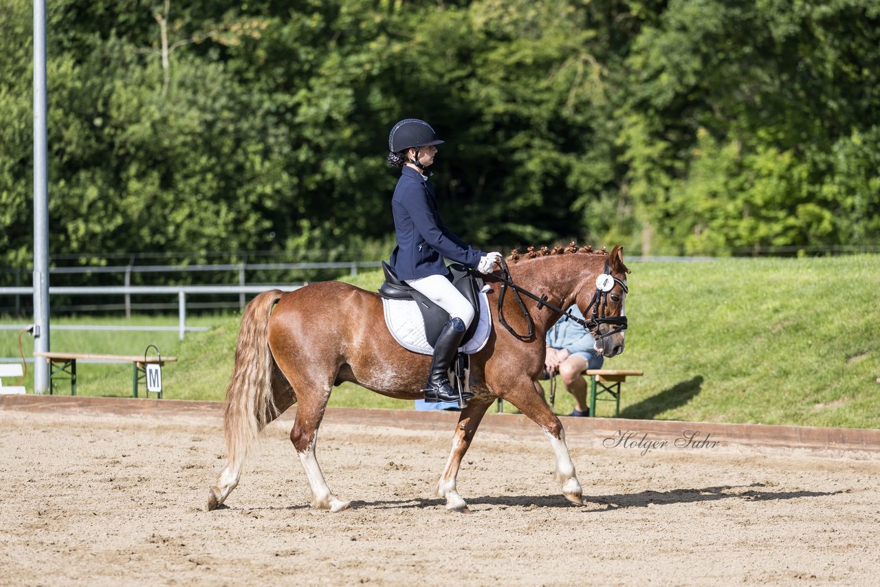 Bild 314 - Pony Akademie Turnier